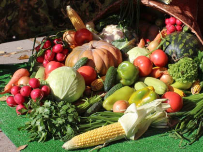 В Ялте за лето на сельскохозяйственных ярмарках реализовали 200 тонн продукции