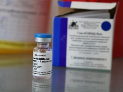 Оперативная сводка и информация о прививочной кампании против COVID-19 в Севастополе на утро 4 февраля