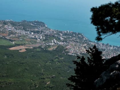 Национализированное имущество приносит доход в Крымский бюджет