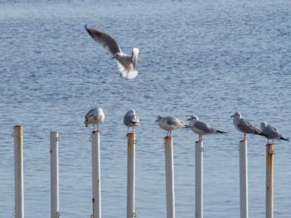 В Крыму прохладно: прогноз погоды на 23 февраля