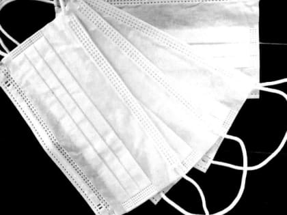 В Крыму за сутки выявили 29 новых случаев коронавируса