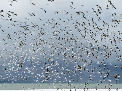 Дождь с мокрым снегом: прогноз погоды для Крыма на четверг