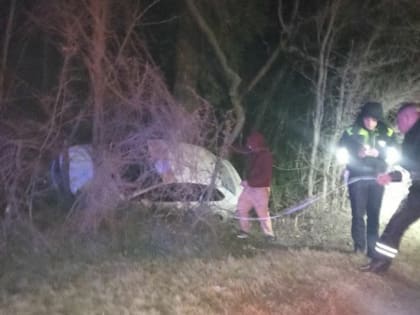 В Ялте легковушка улетела в кювет