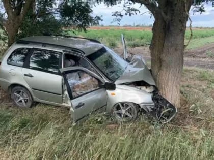 В Крыму женщина-водитель погибла, врезавшись в дерево