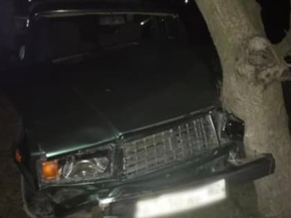 Нетрезвый водитель совершил наезд на семью с тремя малолетними детьми