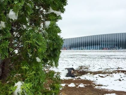 Власти продолжат субсидирование 11 закрытых аэропортов юга России