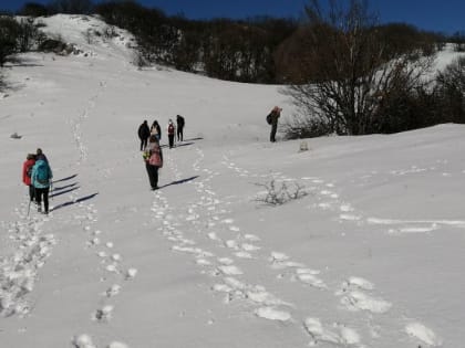 Погода на 24 декабря 2021 года в Крыму и Севастополе: воздух прогреется до плюс 8 градусов