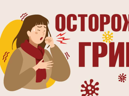 О гриппе и мерах его профилактики