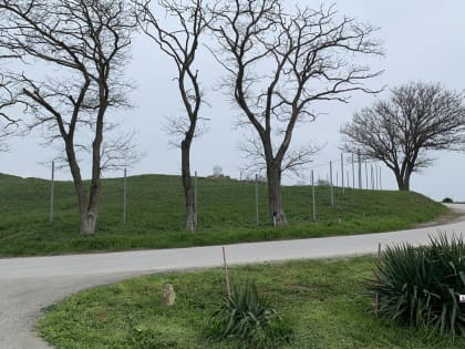 Территорию городища Пантикапей оградят забором (фото)