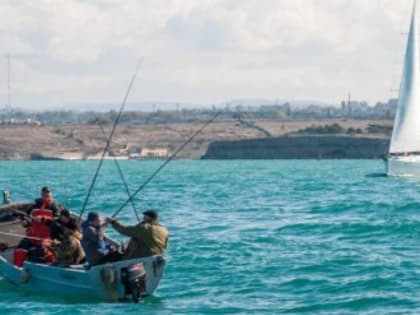 33 млн рублей выделили на поддержку рыбного промысла в этом году в Севастополе