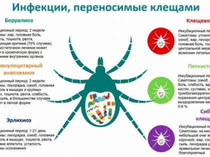 Территориальный отдел по Черноморскому и Раздольненскому районам Межрегионального управления Роспотребнадзора по Республике Крым и городу Севастополю информирует