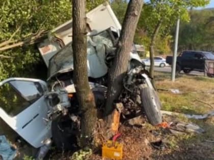 Грузовик съехал с дороги Севастополь — Ялта и врезался в дерево