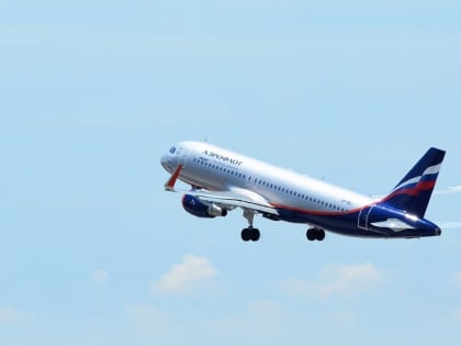 Авиакомпании отменили часть внутренних рейсов из-за снижения господдержки – СМИ