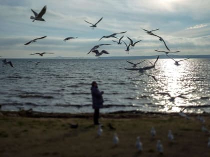 Шторм в Керченском проливе: как работает паромная переправа 12 февраля