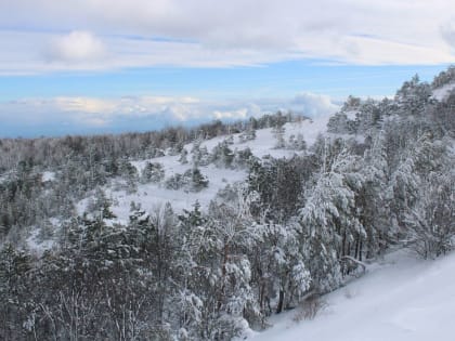 Погода на 10 февраля 2023 года в Крыму и Севастополе: воздух прогреется до плюс 4 градусов