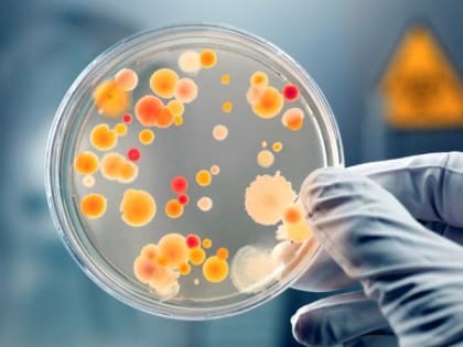 В Симферополе вырос уровень заболеваемости кишечными инфекциями