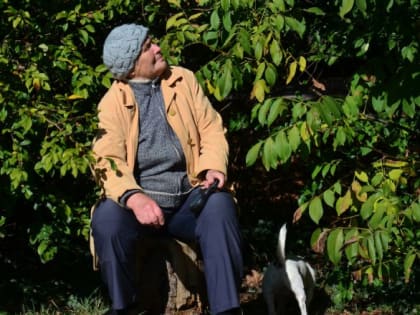 Лишь бы денег побольше украсть...