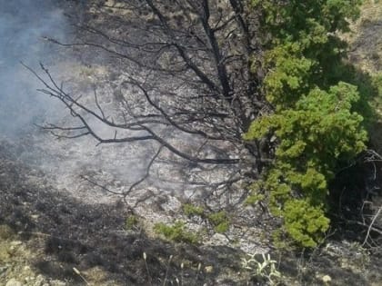Информация о пожаре в горно-лесной местности в городском округе Феодосия