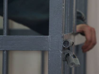 В Крыму задержали двух членов ОПГ, которые пытались «отжать» земельные участки на побережье за 10 млн рублей