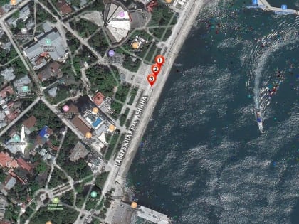 Ялтинцам предлагают определить место установки памятника Мухтару