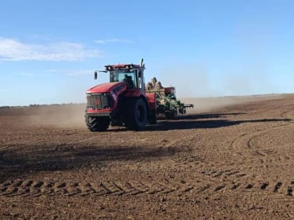 Аграрии Крыма начали сев овощей для "борщевого набора"