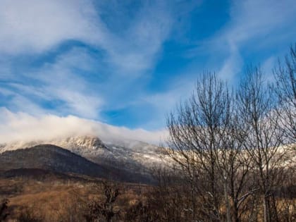 Мокрый снег и ветер: чего ждать от погоды в Крыму 3 февраля
