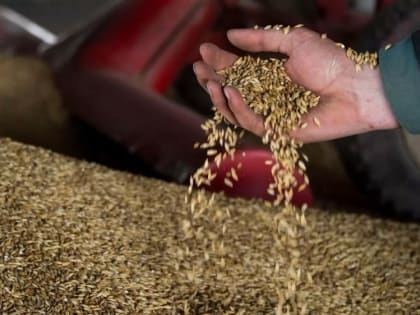 Экспорт РФ в рамках зерновой сделки по-прежнему блокируется - МИД