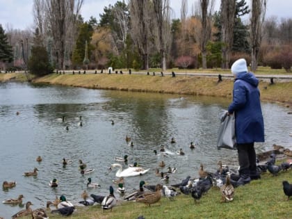 Погода в Крыму 22 февраля: тепло и без осадков