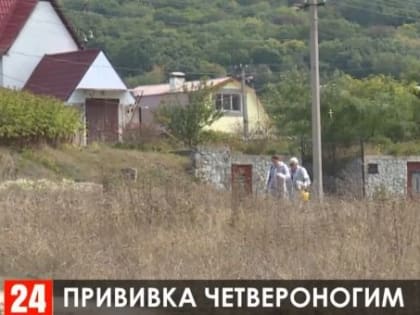 В карантинной зоне под Симферополем бесплатно вакцинируют домашних животных