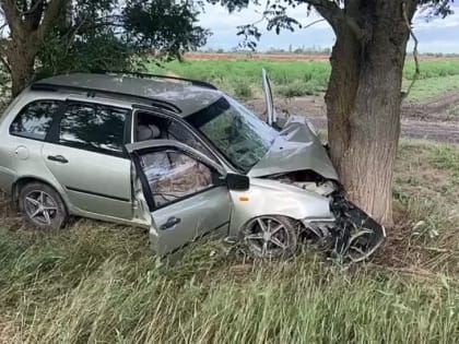 Женщина - водитель погибла за рулем авто в Крыму, её ребенка доставили в больницу