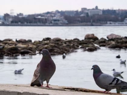 Прогноз погоды в Крыму на пятницу