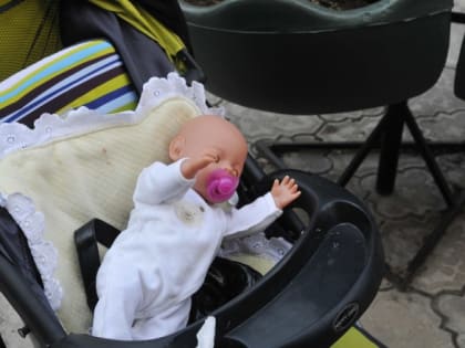 Отвечает СФР