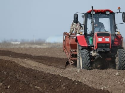 Антикоррупционный комитет нашел недостатки в работе минсельхоза Крыма