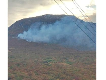 Горит лес. Виноваты мы!