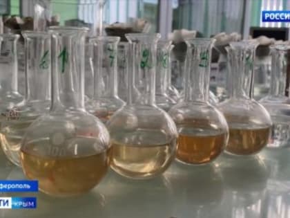 Крымские учёные составят трёхгодичный план развития эфиромасличной отрасли для Белгородской области