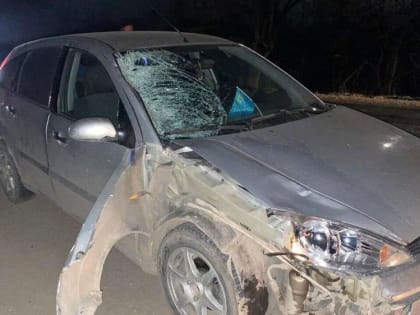 Полиция ищет свидетелей: на севере Крыма насмерть сбили женщину