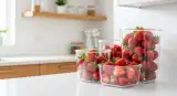 fresh strawberries properly stored