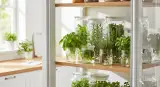 fresh herbs properly stored