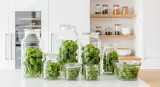 fresh basil properly stored