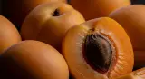 apricots close-up detail