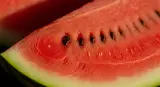 Watermelon close-up detail