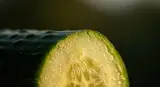 cucumber close-up detail