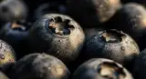 Blueberries close-up detail