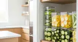 fresh summer squash properly stored