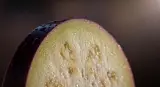 eggplant close-up detail