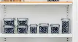 fresh-blueberries properly stored