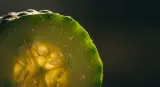 cucumber close-up detail