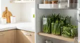 fresh okra properly stored