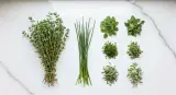 fresh-thyme and its substitutes