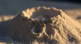cornstarch close-up detail